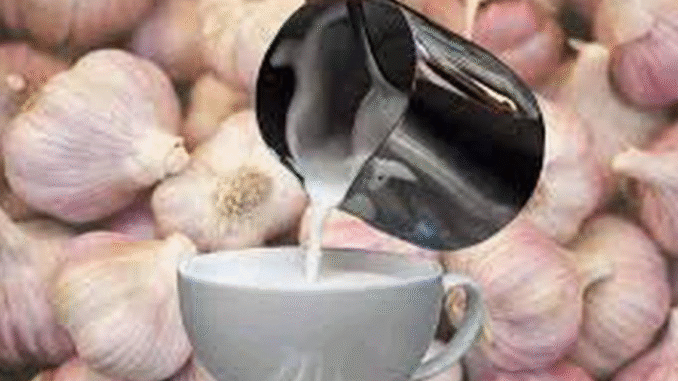 BREAKING: Boil Garlic And Milk Together, Drink A Cup Daily To Solve This health Problems BREAKING: Boil Garlic And Milk Together, Drink A Cup Daily To Solve This health Problems