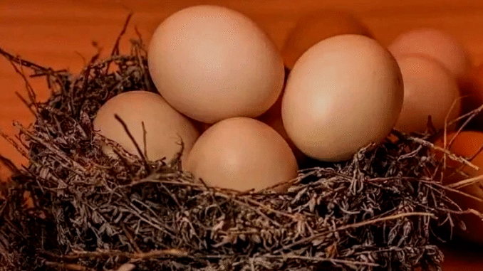 BREAKING: How Men Can Use Eggs To Boost Their Sèxual Health