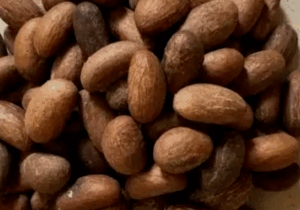 Disease Humans Can Treat By Chewing Bitter Kola Frequently (EXCLUSIVE)