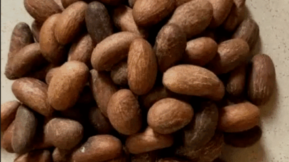 Disease Humans Can Treat By Chewing Bitter Kola Frequently (EXCLUSIVE)