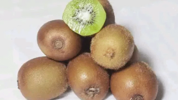 BREAKING: Fruits You Should Regularly Eat to Maintain Strong Eyesight as You Get Older