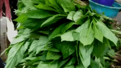 BREAKING: 4 Vegetables That Can Purge The Urinary Tract And Clear Out Infections