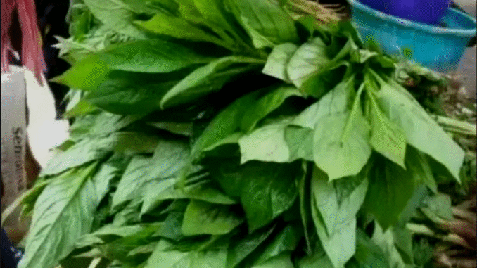 BREAKING: 4 Vegetables That Can Purge The Urinary Tract And Clear Out Infections