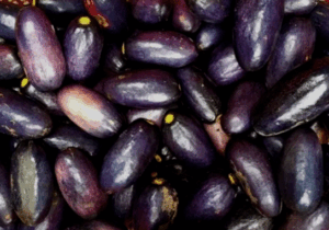 BREAKING NEWS: 9 Potent Benefits Of Nigerian Pear (Ube)