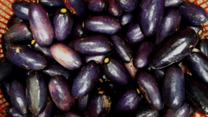 BREAKING NEWS: 9 Potent Benefits Of Nigerian Pear (Ube)