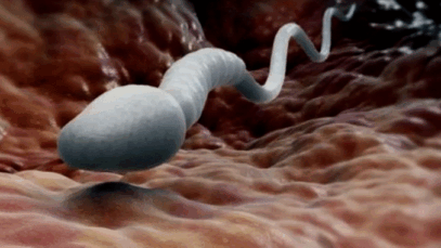 BREAKING NEWS: What else does semen do in a woman’s body apart from reproduction?