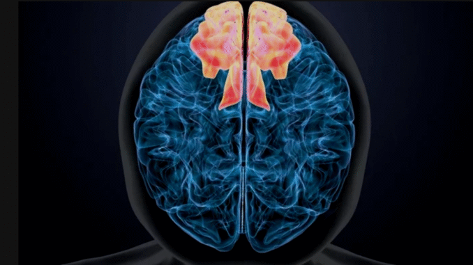 BREAKING: You Are Slowly Killing Your Brain If You Keep Doing These Five Things BREAKING: You Are Slowly Killing Your Brain If You Keep Doing These Five Things