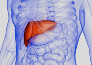 BREAKING NEWS: Parts Of the Body You Will Feel Pain If the Liver Is Swollen Due to Diseases