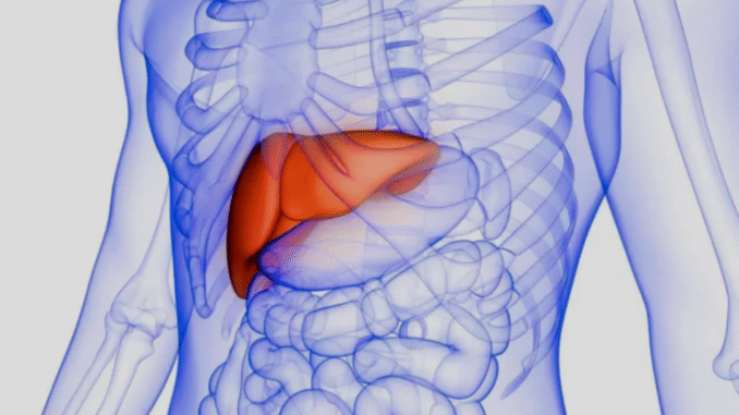 BREAKING NEWS: Parts Of the Body You Will Feel Pain If the Liver Is Swollen Due to Diseases