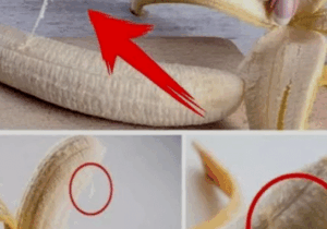 BREAKING: We Should Be More Appreciative of Those White Strings on Bananas, Here Is Why