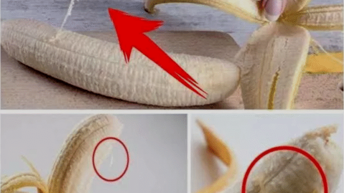 BREAKING: We Should Be More Appreciative of Those White Strings on Bananas, Here Is Why