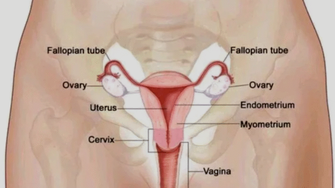 BREAKING NEWS: Causes Of Painful Periods and How to Stop It