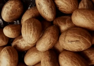 BREAKING NEWS: 9 séxual benefits of bitter kola for men and women