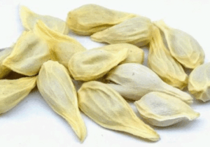 BREAKING: You Will No Longer Throw Lemon Seeds After Reading This