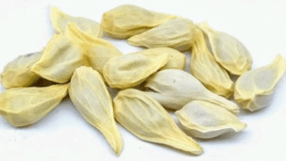 BREAKING: You Will No Longer Throw Lemon Seeds After Reading This