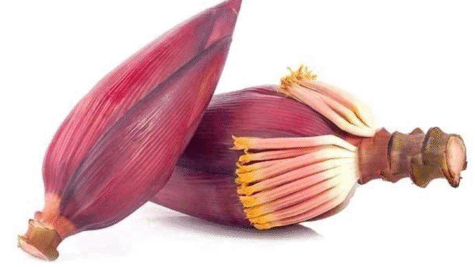 BREAKING NEWS: Use Banana Flowers To Protect Yourself From These Conditions