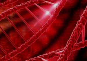 BREAKING: What You Should Know About People with Genotype AA