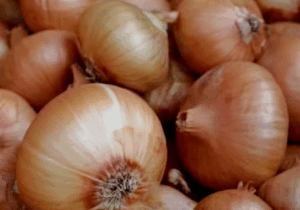 BREAKING NEWS: Here Is the Dangerous Disease That Is Cured by Consuming Onions Frequently