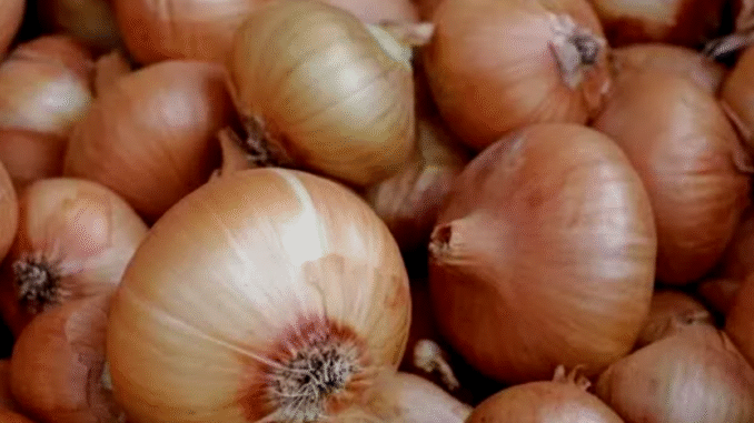 BREAKING NEWS: Here Is the Dangerous Disease That Is Cured by Consuming Onions Frequently BREAKING NEWS: Here Is the Dangerous Disease That Is Cured by Consuming Onions Frequently