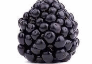 BREAKING: 5 best foods for people struggling with depression
