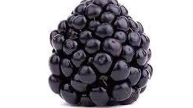 BREAKING: 5 best foods for people struggling with depression