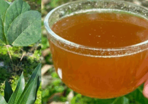 BREAKING NEWS: The Four Leaves That Eliminate Diabetes, Fatty Liver, Poor Circulation, and High Blood Pressure.