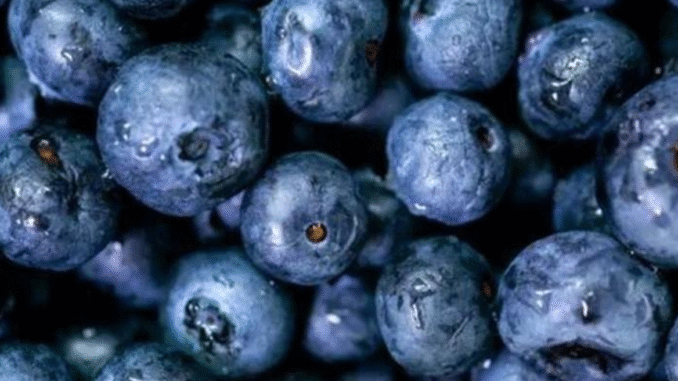Five 5 Best Fruits That Supports Liver Detoxification