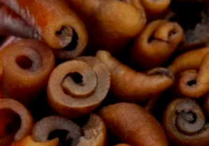 BREAKING NEWS: Truths about Eating Cow Skin