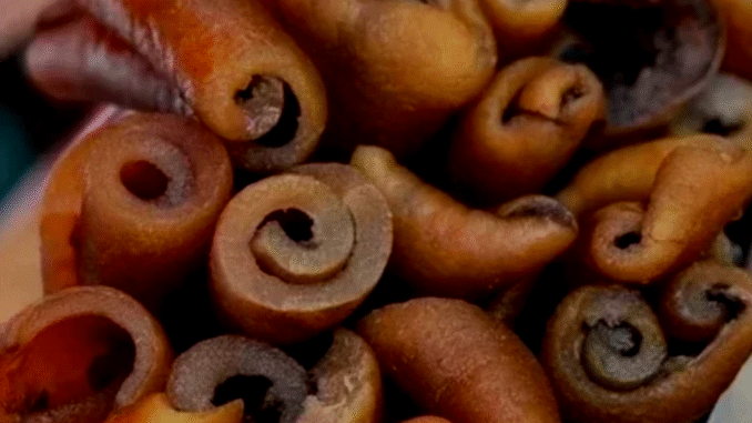 BREAKING NEWS: Truths about Eating Cow Skin
