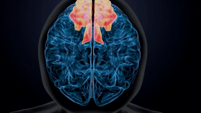 BREAKING NEWS: You Are Slowly Killing Your Brain If You Keep Doing These Five Things