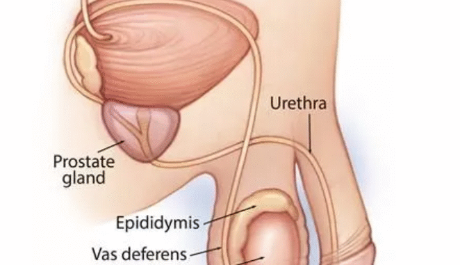 How much do you know about testicular cancer? (DETAILS)