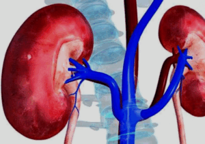 BREAKING: How artificial sweeteners fuel diabetes, damage kidney, say experts