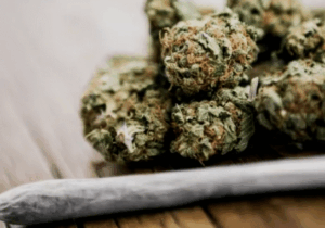 BREAKING: Smoking cannabis tripples the risk of heart attacks and strokes, new report states
