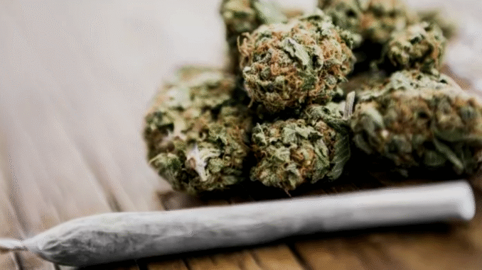 BREAKING: Smoking cannabis tripples the risk of heart attacks and strokes, new report states