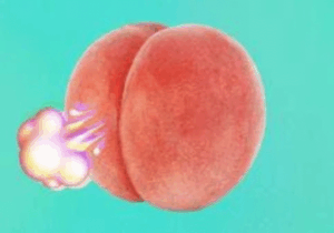 JUST-IN: Why you fart all the time and how to stop it