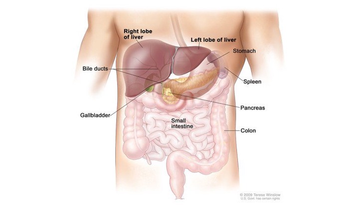 Important Precautions: Four 4 Factors to Avoid to Reduce the Risk of Liver Cancer
