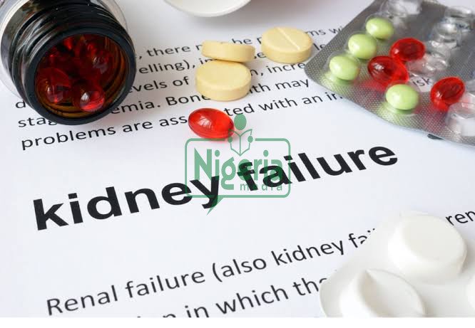 Abuse Of These 3 Drugs Will Destroy Your Kidneys And Your Liver (DETAILS) Abuse Of These 3 Drugs Will Destroy Your Kidneys And Your Liver (DETAILS)