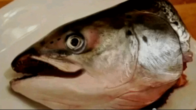 Do You Eat The Head Of Fish? See What It Does To Your Brain