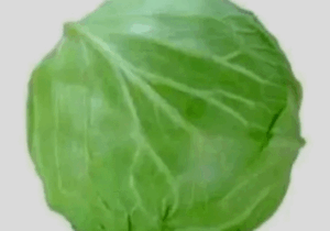 BREAKING: Do not eat cabbage if you have any of these health problems