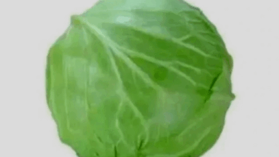 BREAKING: Do not eat cabbage if you have any of these health problems