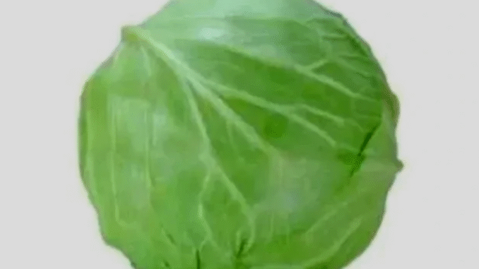 BREAKING: Do not eat cabbage if you have any of these health problems