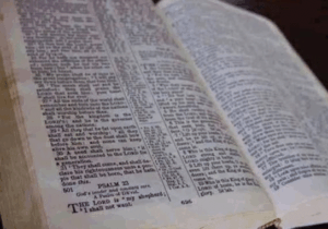 BREAKING: Bible Verse To Read Every Morning So That You Can Have A Successful Day
