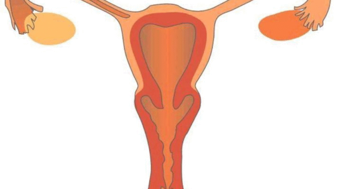 5 Everyday Habits That Secretly Damage a Woman’s Private Part – And How to Fix Them
