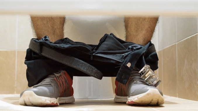 Sit or squat? Scientist reveals why it’s actually WORSE to hover over a public toilet Sit or squat? Scientist reveals why it’s actually WORSE to hover over a public toilet