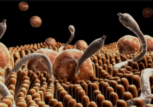 8 shocking things that happen when you don’t deworm your intestines