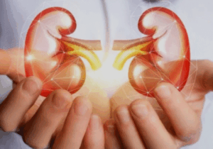 BREAKING: Foods You Should Stop Eating to Prevent Kidney Problems