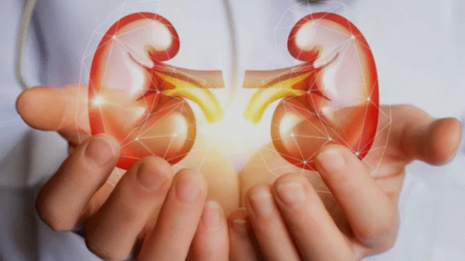 BREAKING: Foods You Should Stop Eating to Prevent Kidney Problems BREAKING: Foods You Should Stop Eating to Prevent Kidney Problems
