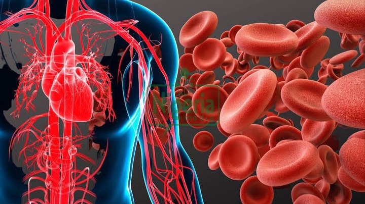 BREAKING NEWS: Symptoms That Show Your Body Is Begging For Iron BREAKING NEWS: Symptoms That Show Your Body Is Begging For Iron