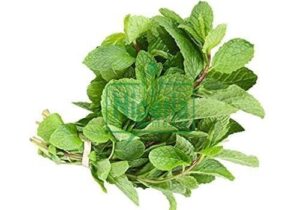 BREAKING: Stop Wasting Your Money To Buy Painkillers, Use These Herbs To Ease Headache