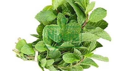BREAKING: Stop Wasting Your Money To Buy Painkillers, Use These Herbs To Ease Headache